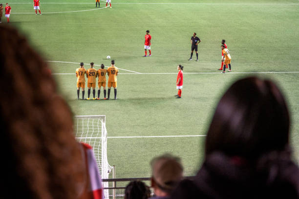 的出色表现 的出色表现